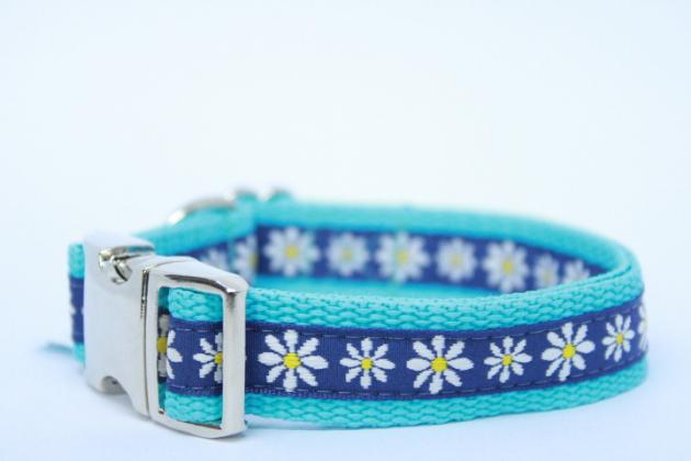 Halsband Gänseblümchen