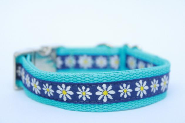 Halsband Gänseblümchen