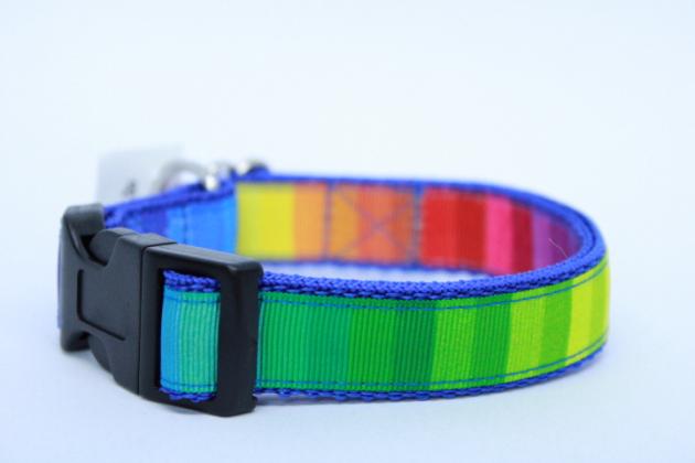 Halsband Rainbow
