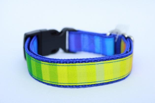 Halsband Rainbow