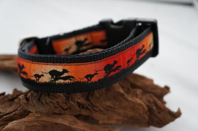 Halsband Windhunderennen