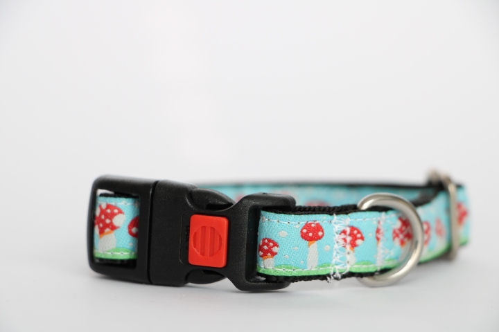Halsband Pilzwiese